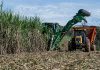 Brasil tem grande potencial para aumentar a produção do etanol – Jornal da USP