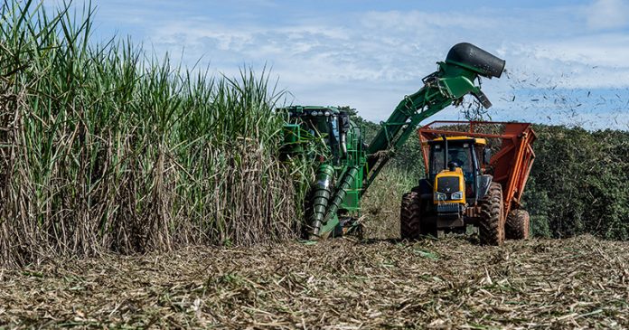 Brasil tem grande potencial para aumentar a produção do etanol – Jornal da USP