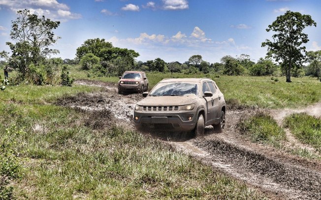 A bordo de um Jeep, pelas trilhas do Pantanal - O Documento