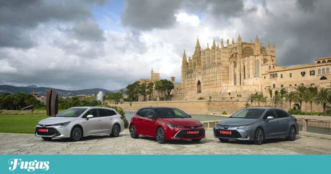 Toyota Corolla é Carro do Ano em Portugal | Motores