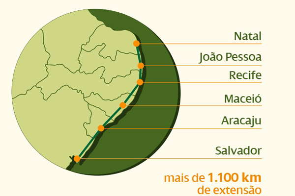 Corredor elétrico no Nordeste