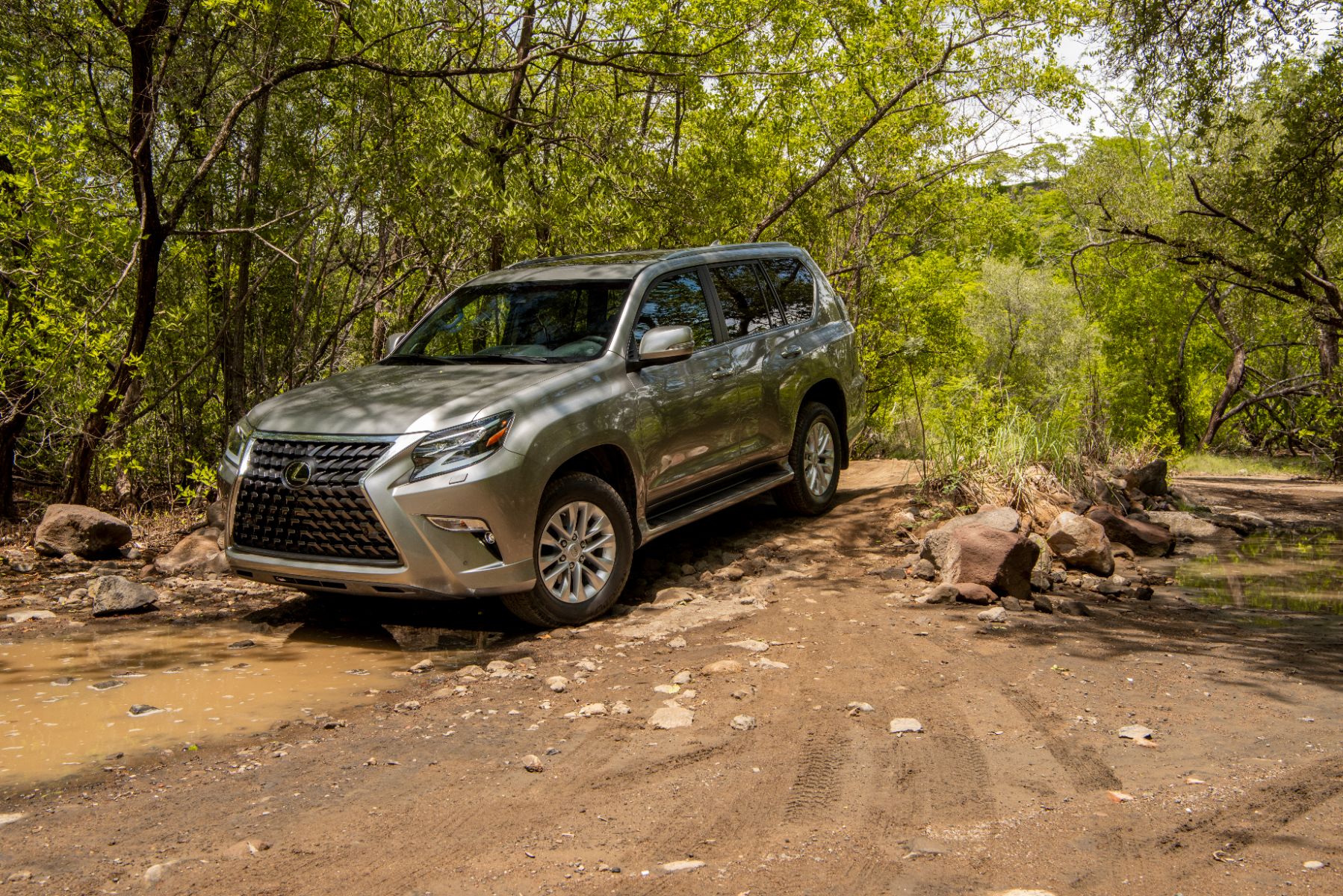 lexus gx 460 cinza frente fora de estrada