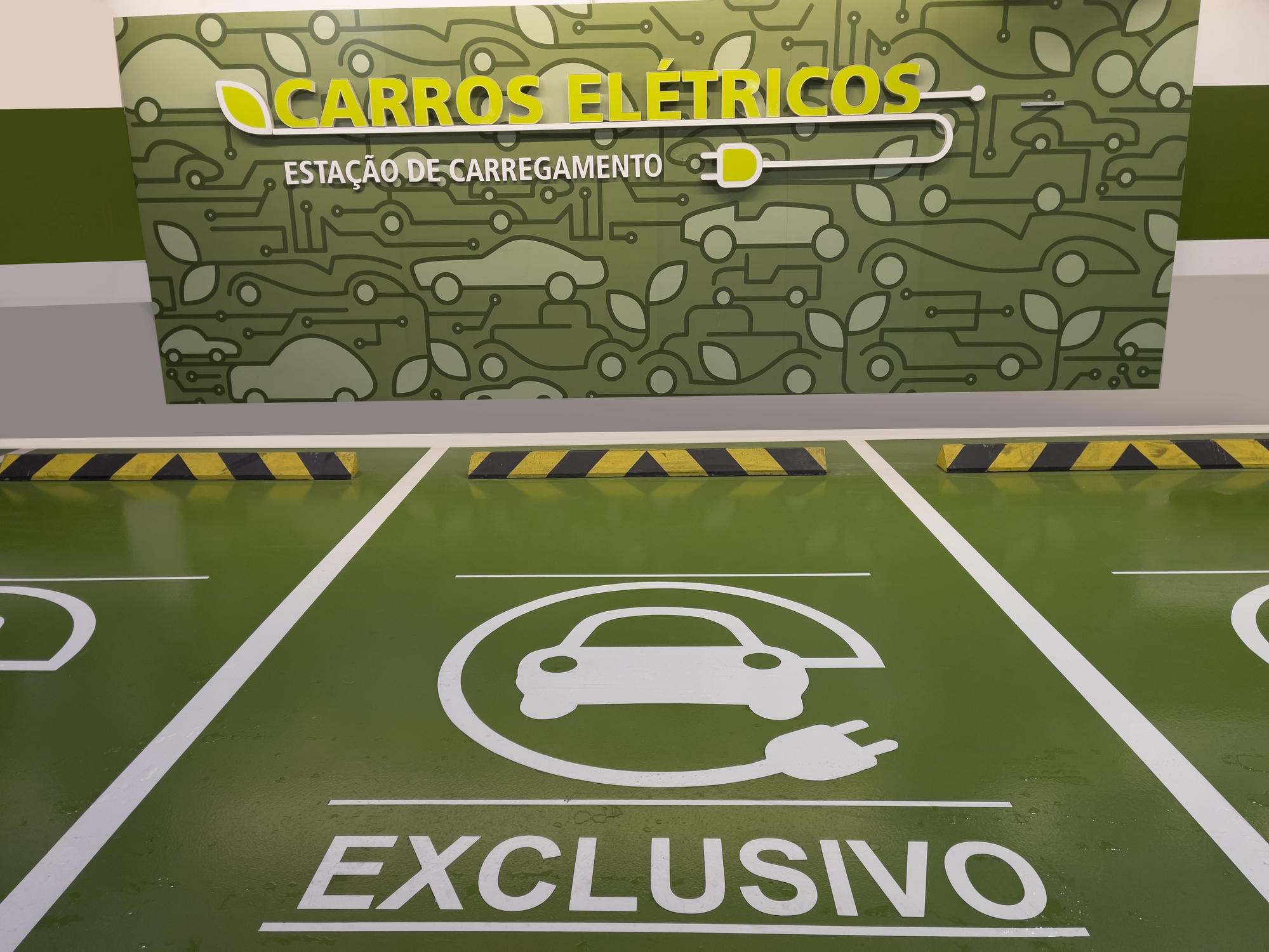 Carros elétricos